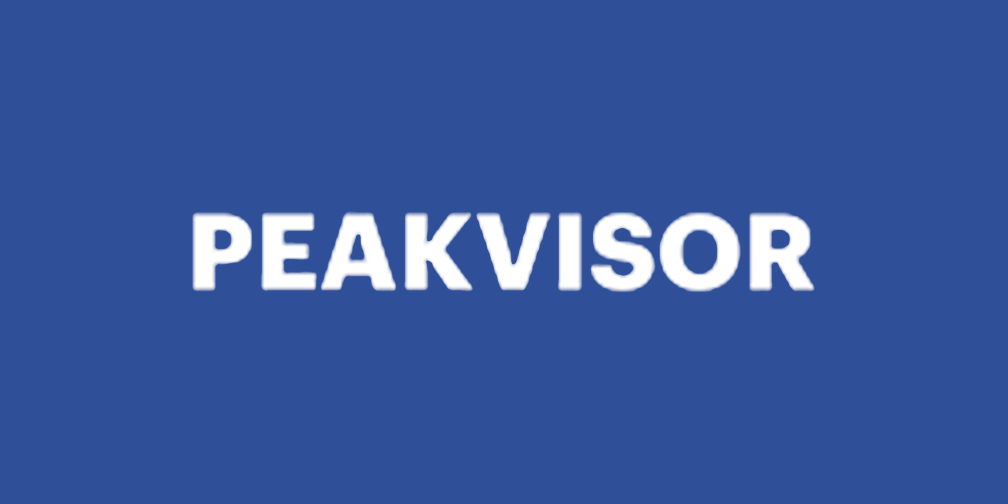 株式会社PeakVisor